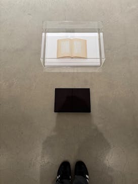 金沢21世紀美術館に投稿された画像（2025/10/7）