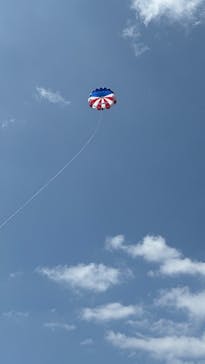 スカイウォークに投稿された画像（2025/10/8）