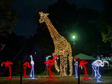 静岡市立日本平動物園に投稿された画像（2025/10/8）