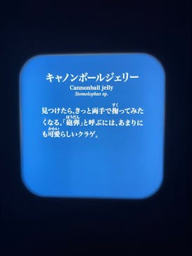 新江ノ島水族館に投稿された画像（2025/10/8）