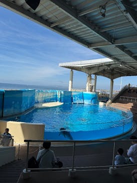 新江ノ島水族館に投稿された画像（2025/10/8）