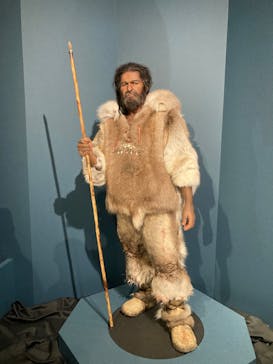 特別展「氷河期展 〜人類が見た4万年前の世界〜」（国立科学博物館）に投稿された画像（2025/10/8）