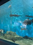 箱根園水族館に投稿された画像（2025/10/8）