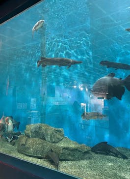 箱根園水族館に投稿された画像（2025/10/8）