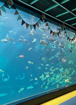 箱根園水族館に投稿された画像（2025/10/8）
