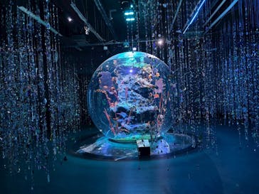 AQUARIUM × ART　atoaに投稿された画像（2025/10/8）