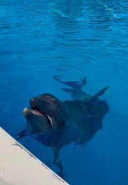 南知多ビーチランド＆南知多おもちゃ王国に投稿された画像（2025/10/8）