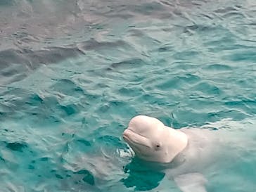 横浜・八景島シーパラダイスに投稿された画像（2025/10/8）