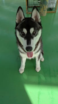 つくばわんわんランドに投稿された画像（2025/10/8）