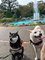 箱根強羅公園に投稿された画像（2025/10/8）