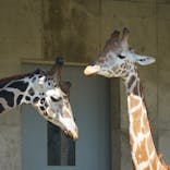 霞ケ浦 どうぶつとみんなのいえに投稿された画像（2025/10/8）