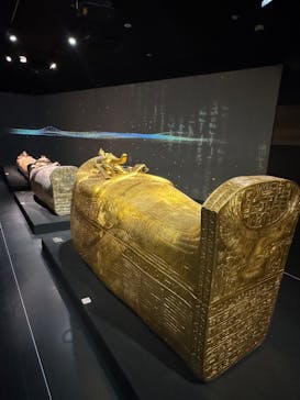 MYSTERY OF TUTANKHAMEN 体感型古代エジプト展に投稿された画像（2025/10/8）
