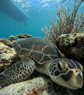  マリンショップHAPPYに投稿された画像（2025/10/8）