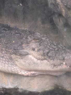 恩賜上野動物園に投稿された画像（2025/10/8）