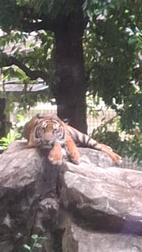 恩賜上野動物園に投稿された画像（2025/10/8）