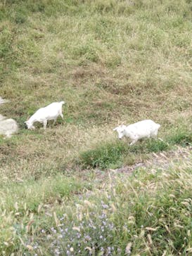 熊谷天然温泉　花湯スパリゾートに投稿された画像（2025/10/8）
