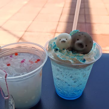 新江ノ島水族館に投稿された画像（2025/10/8）