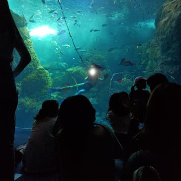 新江ノ島水族館に投稿された画像（2025/10/8）