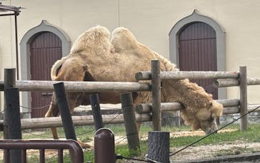 東武動物公園に投稿された画像（2025/10/8）