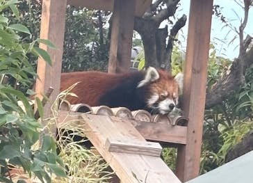 東武動物公園に投稿された画像（2025/10/8）