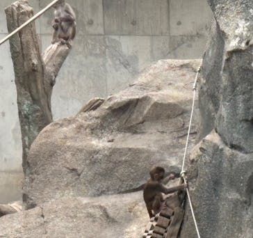 東武動物公園に投稿された画像（2025/10/8）