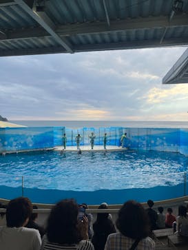 新江ノ島水族館に投稿された画像（2025/10/9）