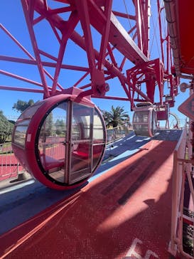 グリーンランドに投稿された画像（2025/10/9）