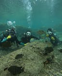 武藤潜水に投稿された画像（2025/10/9）