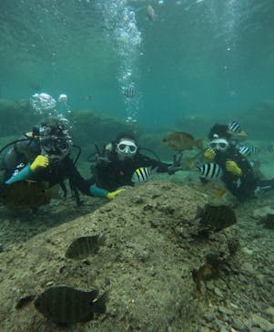 武藤潜水に投稿された画像（2025/10/9）