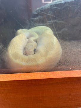 アニタッチ 東京ドームシティに投稿された画像（2025/10/9）