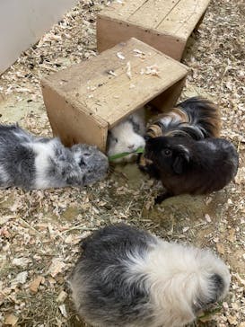 アニタッチ 東京ドームシティに投稿された画像（2025/10/9）