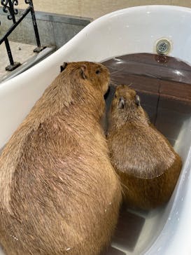 アニタッチ 東京ドームシティに投稿された画像（2025/10/9）