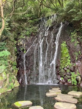 箱根湯本温泉 天成園に投稿された画像（2025/10/9）