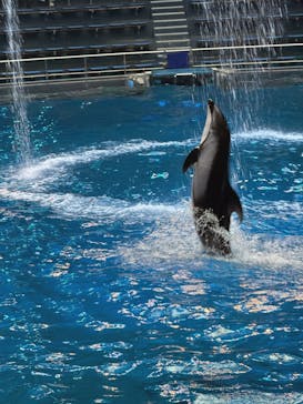 マクセル アクアパーク品川に投稿された画像（2025/10/9）