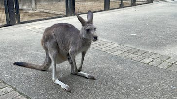 こども動物自然公園（埼玉県公園緑地協会）に投稿された画像（2025/10/9）