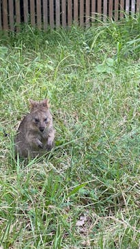 こども動物自然公園（埼玉県公園緑地協会）に投稿された画像（2025/10/9）