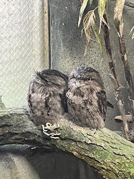 那須どうぶつ王国に投稿された画像（2025/10/9）