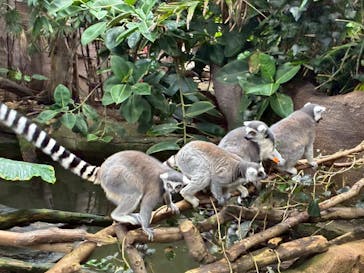 那須どうぶつ王国に投稿された画像（2025/10/9）