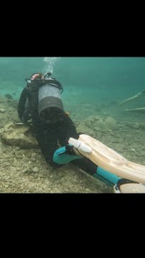 武藤潜水に投稿された画像（2025/10/9）