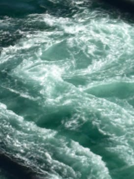 徳島県立 渦の道に投稿された画像（2025/10/9）