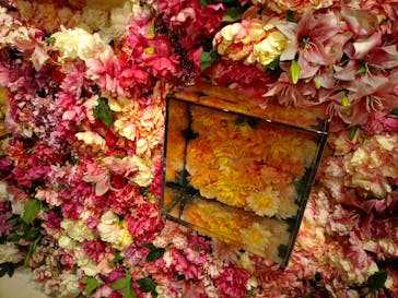 NARA KINGYO MUSEUMに投稿された画像（2025/10/9）