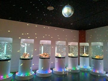 NARA KINGYO MUSEUMに投稿された画像（2025/10/9）