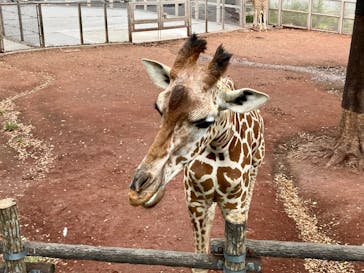 多摩動物公園に投稿された画像（2025/10/9）