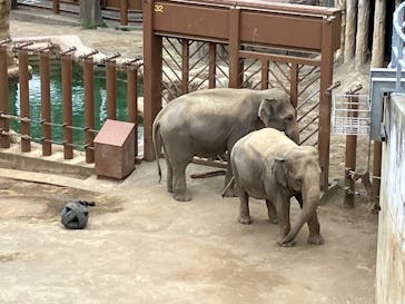 多摩動物公園に投稿された画像（2025/10/9）