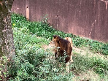 多摩動物公園に投稿された画像（2025/10/9）