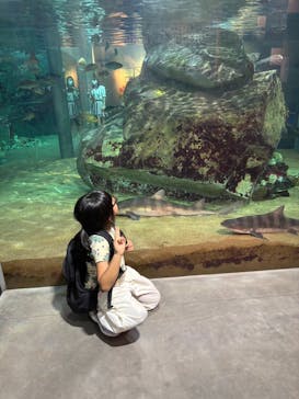 九十九島パールシーリゾートに投稿された画像（2025/10/9）