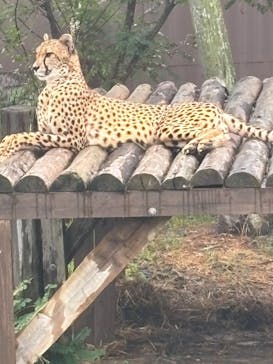 九十九島パールシーリゾートに投稿された画像（2025/10/9）