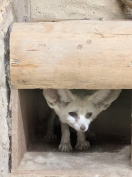 長崎バイオパークに投稿された画像（2025/10/9）