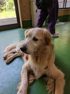 長崎バイオパークに投稿された画像（2025/10/9）