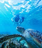 オースリーシュノーケル宮古島に投稿された画像（2025/10/9）